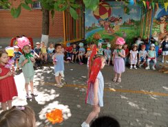 img (3)